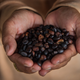 Illustration for article titled Last Call: Coffee roasters around the country are receiving mysterious letters
